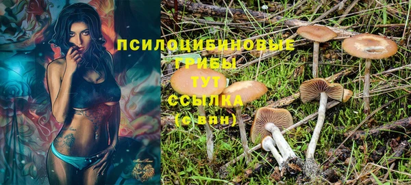 кокс Баксан